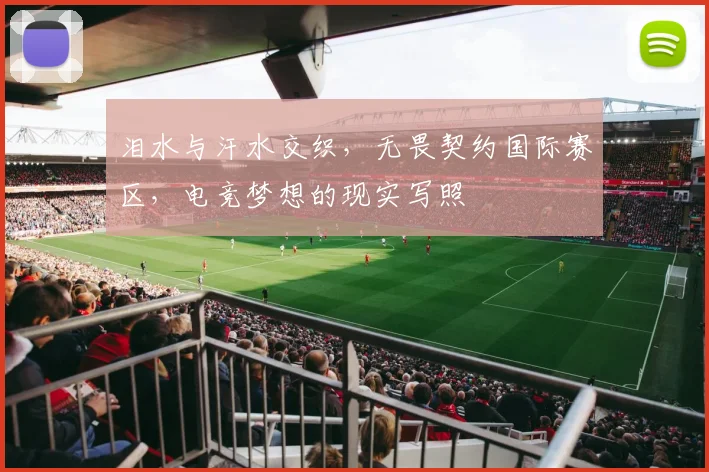 泪水与汗水交织，无畏契约国际赛区，电竞梦想的现实写照